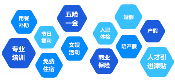 提供全面、系統(tǒng)、專業(yè)的培訓(xùn)和廣闊的<br>職業(yè)發(fā)展空間和提升機(jī)會